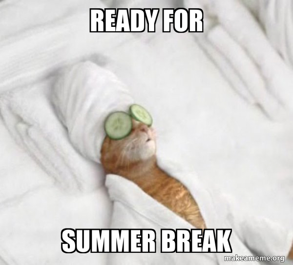 a cat vacationing